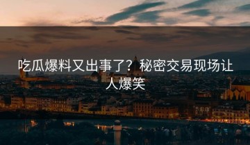 吃瓜爆料又出事了？秘密交易现场让人爆笑