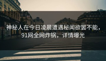 神秘人在今日凌晨遭遇秘闻欲罢不能，91网全网炸锅，详情曝光