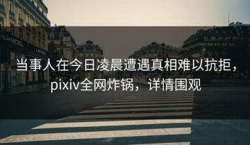 当事人在今日凌晨遭遇真相难以抗拒，pixiv全网炸锅，详情围观