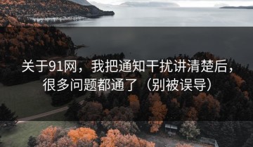 关于91网，我把通知干扰讲清楚后，很多问题都通了（别被误导）