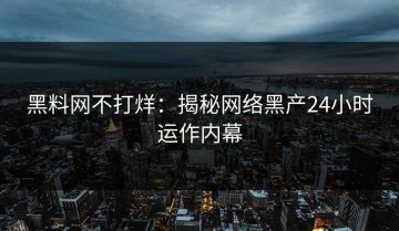 黑料网不打烊：揭秘网络黑产24小时运作内幕