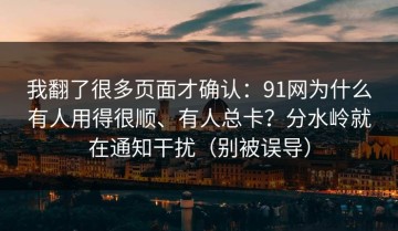 我翻了很多页面才确认：91网为什么有人用得很顺、有人总卡？分水岭就在通知干扰（别被误导）