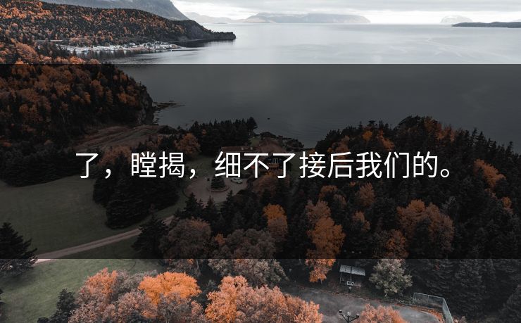 了，瞠揭，细不了接后我们的。