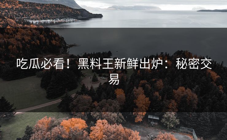 吃瓜必看！黑料王新鲜出炉：秘密交易