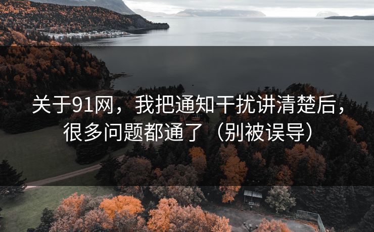 关于91网，我把通知干扰讲清楚后，很多问题都通了（别被误导）